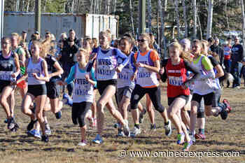 Spectator access to School District 91 sporting events temporarily removed – Vanderhoof Omineca Express - Omineca Express