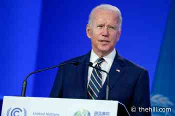 Biden says China and Russia skipping summit will diminish their influence