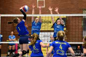 OVERZICHT VOLLEYBAL. Alken is maximum kwijt, Lanaken verliest echte cupmatch tegen Geetbets - Het Belang van Limburg