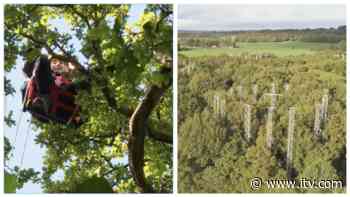 'We need to do our bit': Inside the Stafford forest helping scientists tackle the climate crisis - ITV News