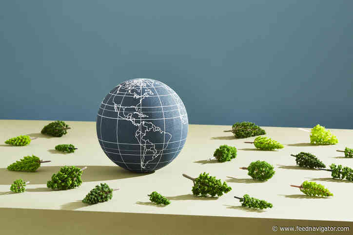 COP26: Countries pledge to halt and reverse forest loss and land degradation by 2030 - FeedNavigator.com