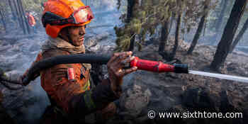 A Forest Fire in Tibet Has Been Ablaze for a Week - Sixth Tone