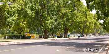 Delhi Colonies Clear Trees to Make Room for Cars. A Forest Official Thinks That's a Bad Idea. - The Wire