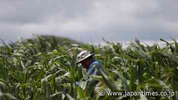 Back to the land: Thai forest draws young green farmers - The Japan Times