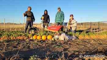 Muskeg Lake Food Forest receives provincial Heritage award - paNOW