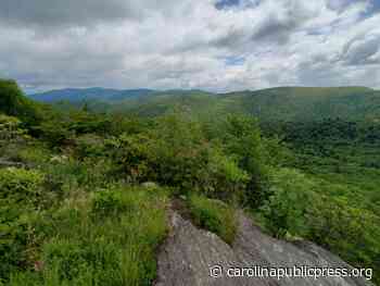 Pisgah-Nantahala National Forest Plan nears completion - Carolina Public Press