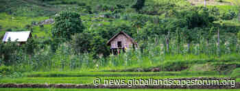 Community forest land allocation can help achieve Viet Nam climate goals - Landscape News