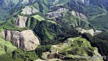 Deal sets course for overhaul of private forest management in Oregon - OPB News