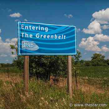Forest Ontario looking to plant more trees on Greenbelt land through partnership - Toronto Star