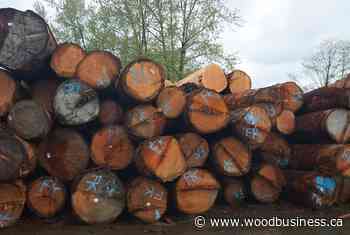 BC gov introduces legislation to amend the Forest and Range Practices Act - Wood Business - Canadian Forest Industries