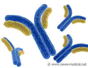 Research collaboration identifies antibody that limits the severity of coronavirus infections - News-Medical.Net
