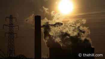 Biden rallies nations to cut methane emissions