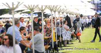 Victoria records 941 cases of COVID-19 as Melbourne comes alive over Cup weekend - 9News