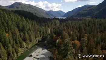 B.C. promises to consult First Nations before pushing ahead with old-growth logging deferrals