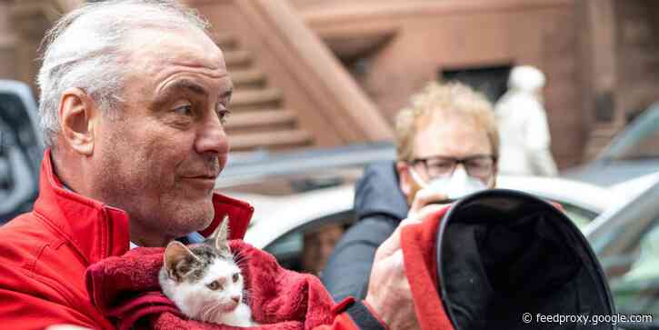 NYC mayoral longshot Curtis Sliwa parades one of his 17 cats around the city on Election Day in a blanket and matching Guardian Angels beret