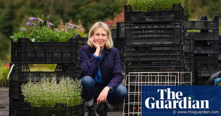 Art for bees: ‘mad-looking’ installation suits pollinators’ tastes