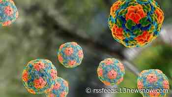 Three dead after hepatitis A outbreak linked to restaurant