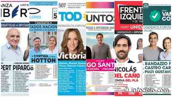 Elecciones 2021: Qué dicen las encuestas en la provincia de Buenos Aires - Infocielo
