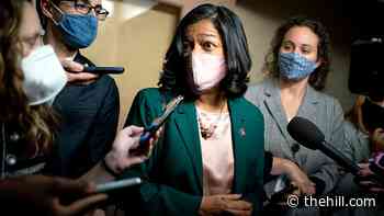 Lawmakers demand answers for detention of Iranian Americans at US-Canada border