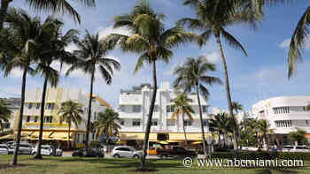 Miami Beach Voters in Favor of Last Call Roll Back, Reelect Mayor Gelber