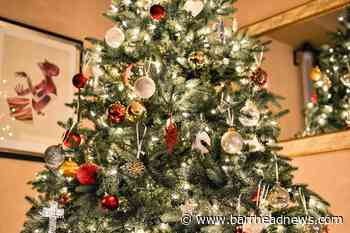 When should you put your Christmas tree up? - Barrhead News