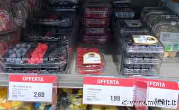 Osservatorio Piccoli frutti, tutti i trend a Modena - Myfruit.it