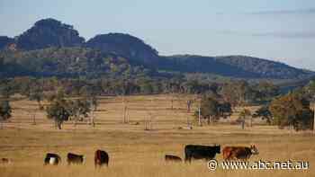 NSW Deputy Premier Paul Toole to call on colleagues to rule out new coal exploration zones