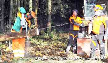 Richtiger Umgang mit der Motorsäge / 19 Motorsägenführer aus Karlsfeld und Dachau ausgebildet - - Wochenanzeiger München