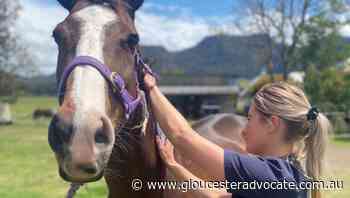 Keeping animals healthy - Gloucester Advocate