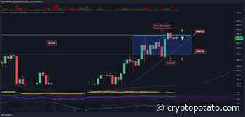 Ethereum Price Analysis: ETH Attempting a New Break Beyond $4460 - CryptoPotato
