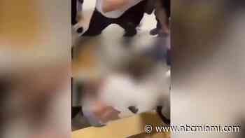 Student Sent to Hospital With Injuries After Fight at Broward High School: Father