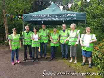 Cash for Charity: How to vote for Friends of Sunnyhurst Wood