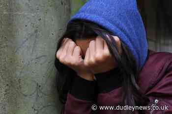 Warning over 'domino effect' on children's mental health care - Dudley News