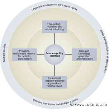 Enhancing science–policy interfaces for food systems transformation - Nature.com