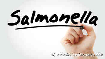 Danish officials investigate egg link in Salmonella outbreak - Food Safety News