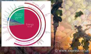 Staggering chart exposes how much greenhouse gas comes from our FOOD - Express