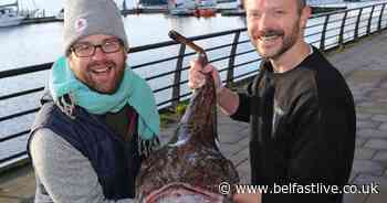 Celebrity chef Randy Lewis to showcase Legenderry food and drink in new online show - Belfast Live