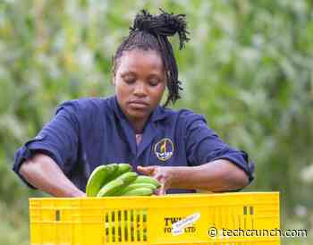 Kenya’s Twiga raises $50M to scale food solutions across Africa - TechCrunch