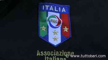 Juve Stabia-Bari: la designazione arbitrale. Precedente amaro per i galletti - BARI CALCIO