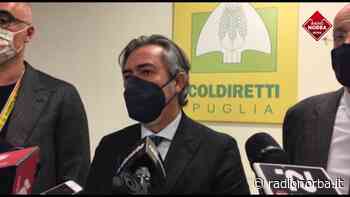 Xylella, il sottosegretario Battistoni a Bari - Radionorba