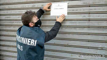 Centro massaggi abusivo a Bari, sanzione e attività sospesa - Agenzia ANSA