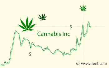 Why Canopy Growth, Aurora Cannabis, Tilray, and Sundial Stocks Are on Fire - The Motley Fool
