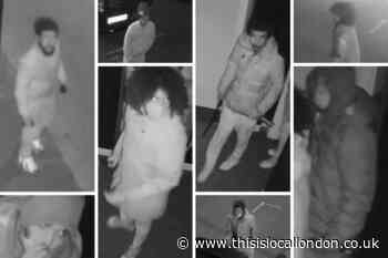Gang with machetes break into family home in Walthamstow