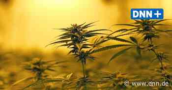Cannabis-Freigabe in Dresden? Grüne fordern Expertenanhörung - Dresdner Neueste Nachrichten