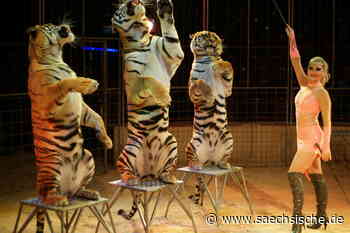 Dresden: "Noch einmal darf Weihnachten nicht sterben" - Sächsische.de