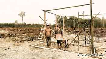 Ausstellung in Dresden: Olaf Otto Becker – Fotograf des Klimawandels - MDR