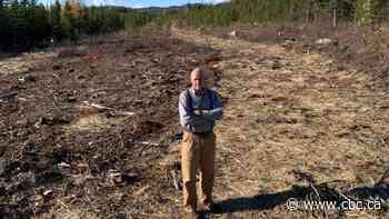 Maine referendum deals blow to Hydro-Québec project