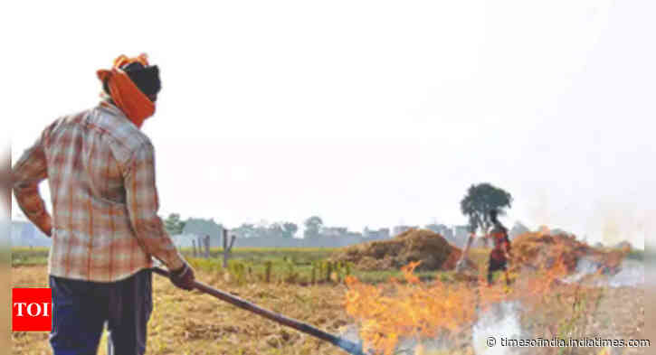 51% cut in stubble burning this season against corresponding period last year: Air quality panel