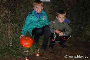 Ouderraad TitTa Tovenaar houdt pompoentocht langs holle wege... (Halen) - Het Belang van Limburg Mobile - Het Belang van Limburg