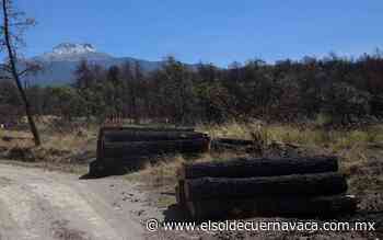México sí firmó acuerdo con la COP26 para enfrentar la deforestación - El Sol de Cuernavaca